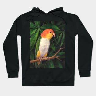 White Bellied Parrot Hoodie